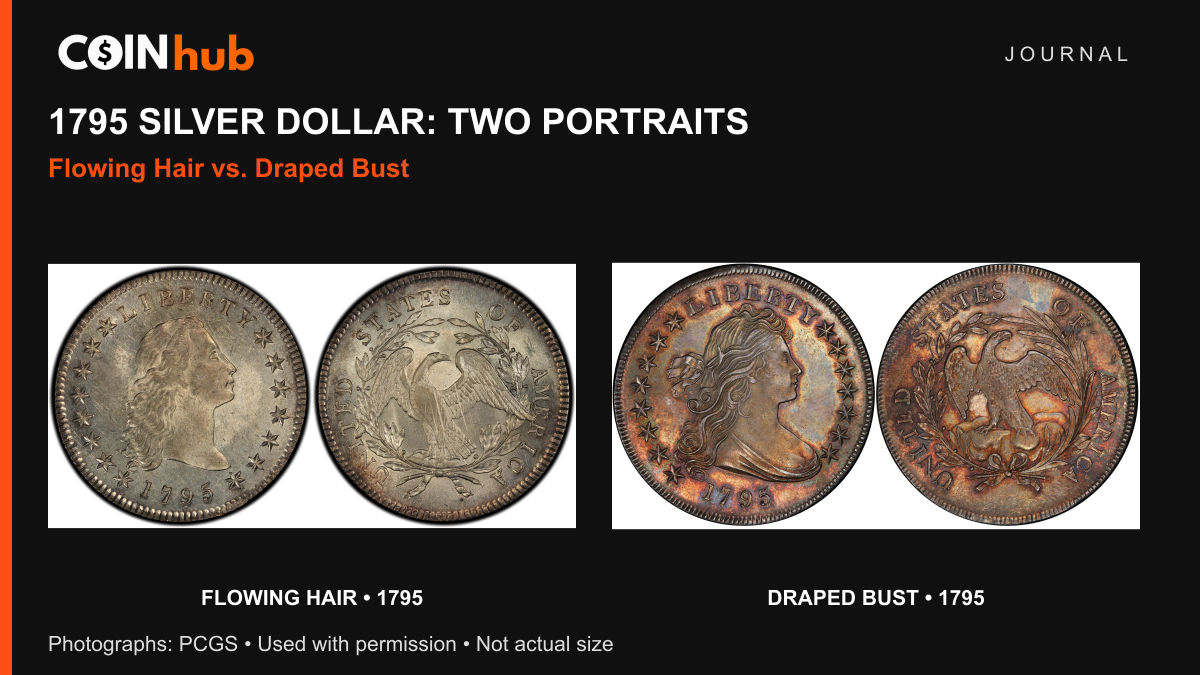 Complete PCGS photographs of 1795 Flowing Hair and Draped Bust silver dollars, each showing obverse and reverse, in separately labeled CoinHub panels.