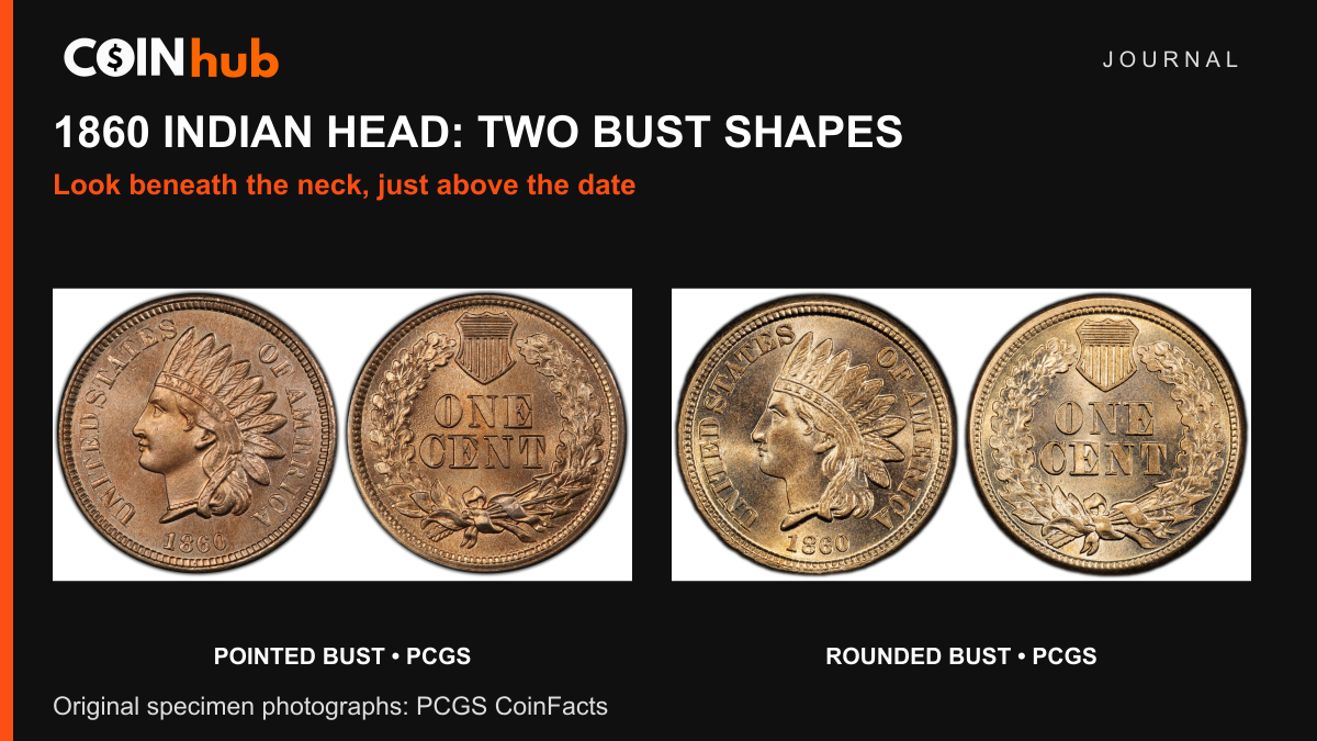 PCGS photographs of 1860 Indian Head cents: Pointed Bust specimen at left and Rounded Bust specimen at right, with both sides of each coin shown.