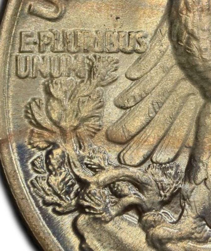 Unretouched crop of the PCGS FS-801 reference showing E PLURIBUS UNUM and the branch at the lower left of the eagle