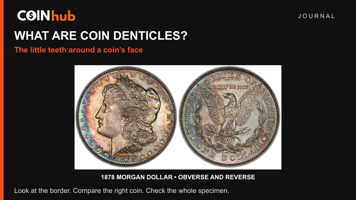 Original PCGS photographs of an 1878 Morgan dollar showing the small denticles around both faces, in a CoinHub Journal layout.