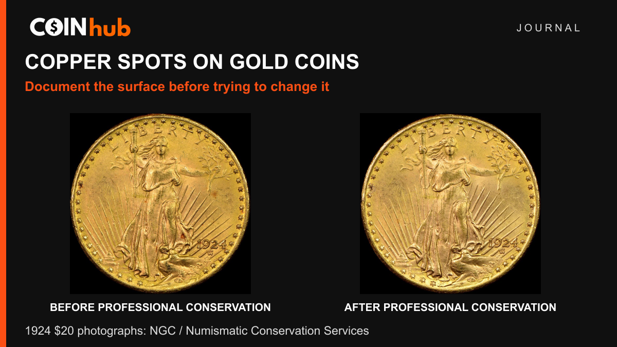 NGC photographs of the same 1924 Saint-Gaudens twenty-dollar gold coin before and after professional NCS conservation, showing reddish spots reduced.