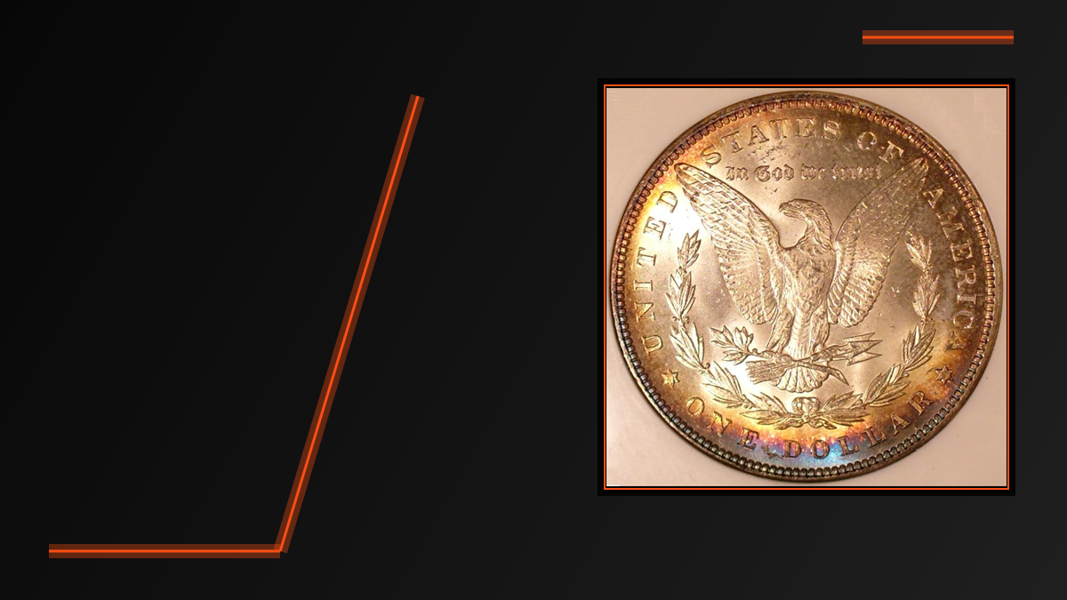 Public-domain photograph of the reverse of an 1899 Morgan dollar, displayed in a black CoinHub frame with orange accents