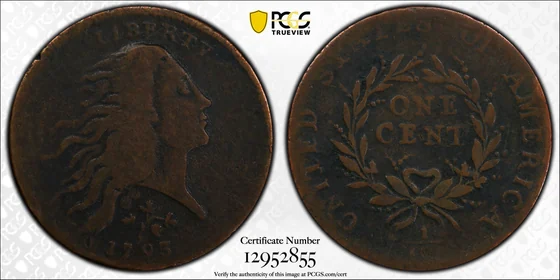 1793 Wreath cent, Strawberry Leaf, PCGS VG10BN specimen, obverse and reverse