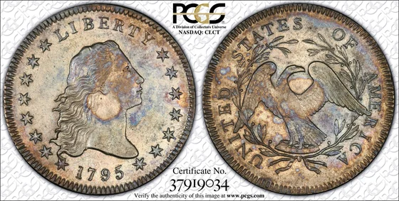 PCGS TrueView photograph of 1795 Flowing Hair Dollar, Silver Plug