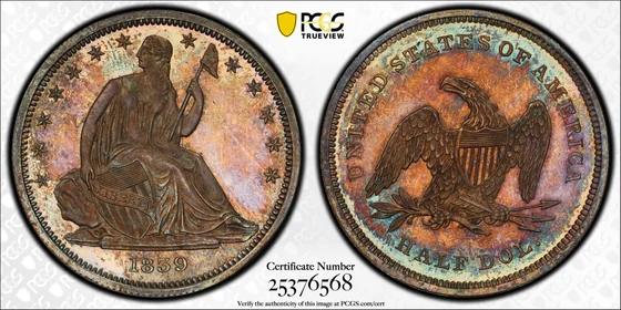 1839 No Drapery Liberty Seated Half Dollar, Proof
