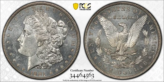 PCGS TrueView photograph of 1901 Morgan Dollar, Philadelphia