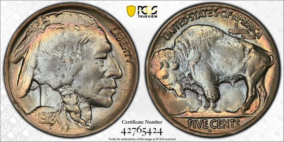 Representative 1918/7-D Buffalo overdate nickel, not an identified listed auction specimen
