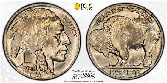 1920-D Buffalo nickel, PCGS MS66 specimen, obverse and reverse