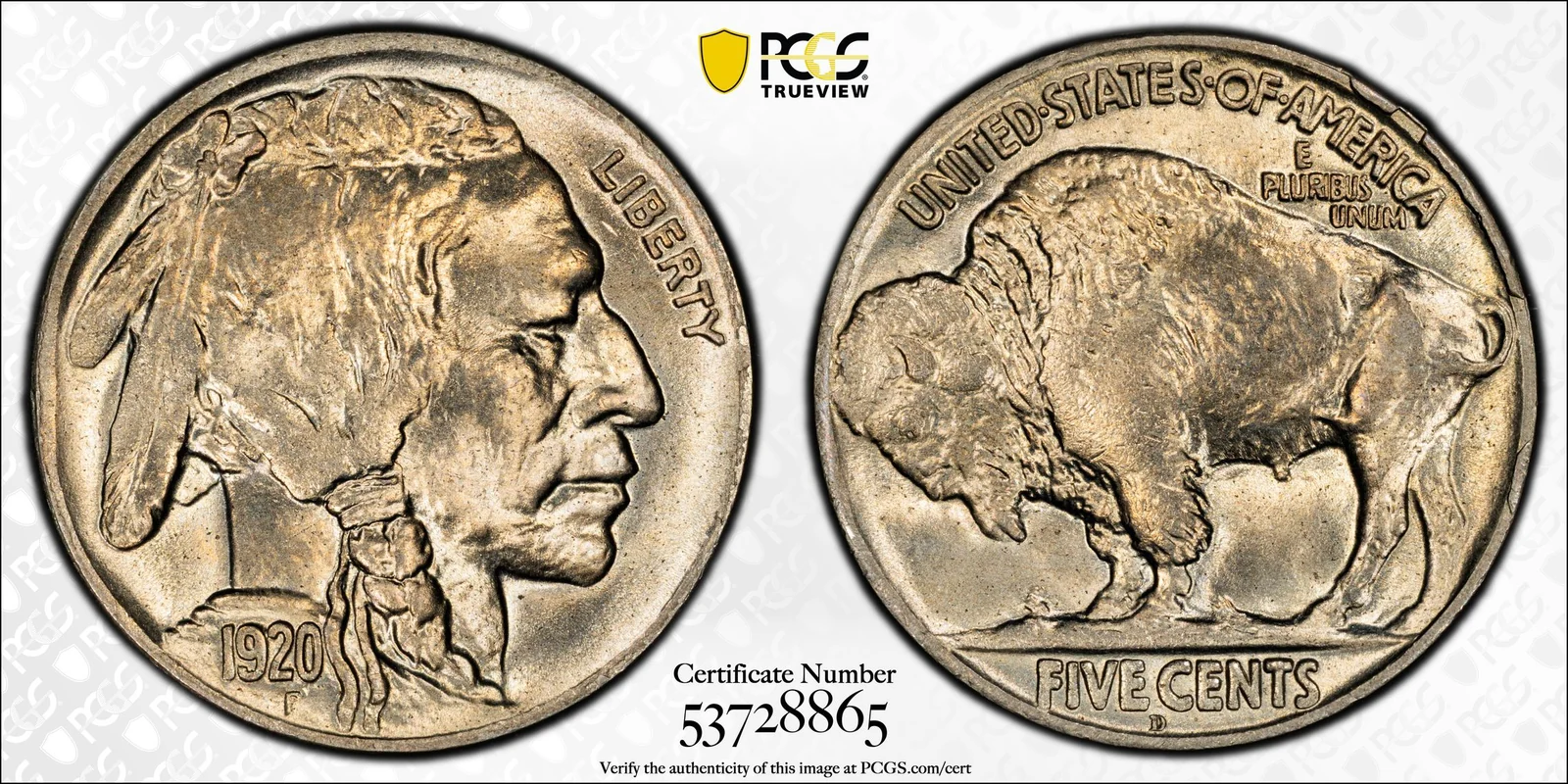 1920-D Buffalo nickel, PCGS MS66 specimen, obverse and reverse