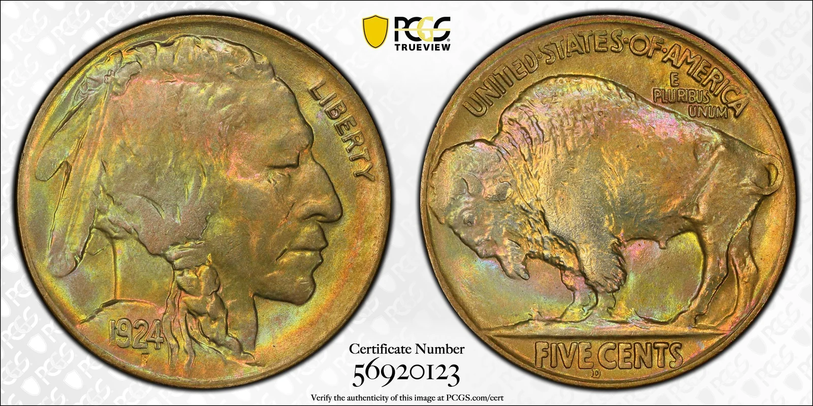 1924-D Buffalo nickel, PCGS MS66+ specimen, obverse and reverse