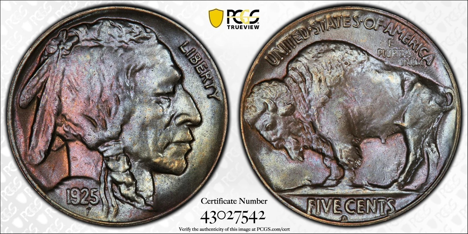 1925-D Buffalo nickel, PCGS MS66+ specimen, obverse and reverse