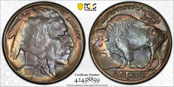 1925-S Buffalo nickel, PCGS MS66 specimen, obverse and reverse