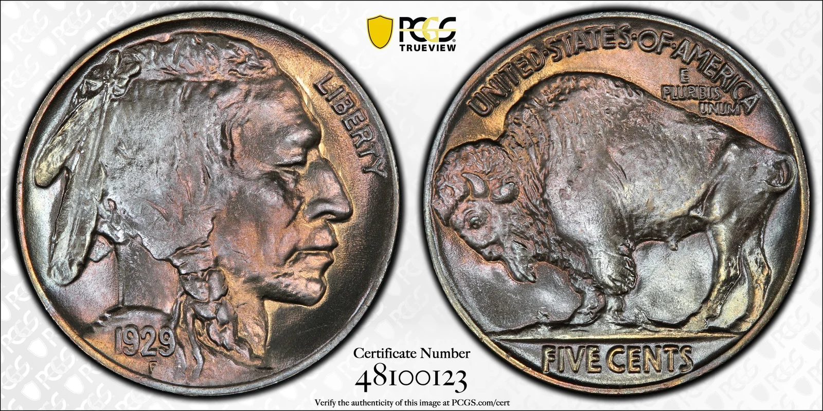 1929 Buffalo nickel, PCGS MS67+ specimen, obverse and reverse