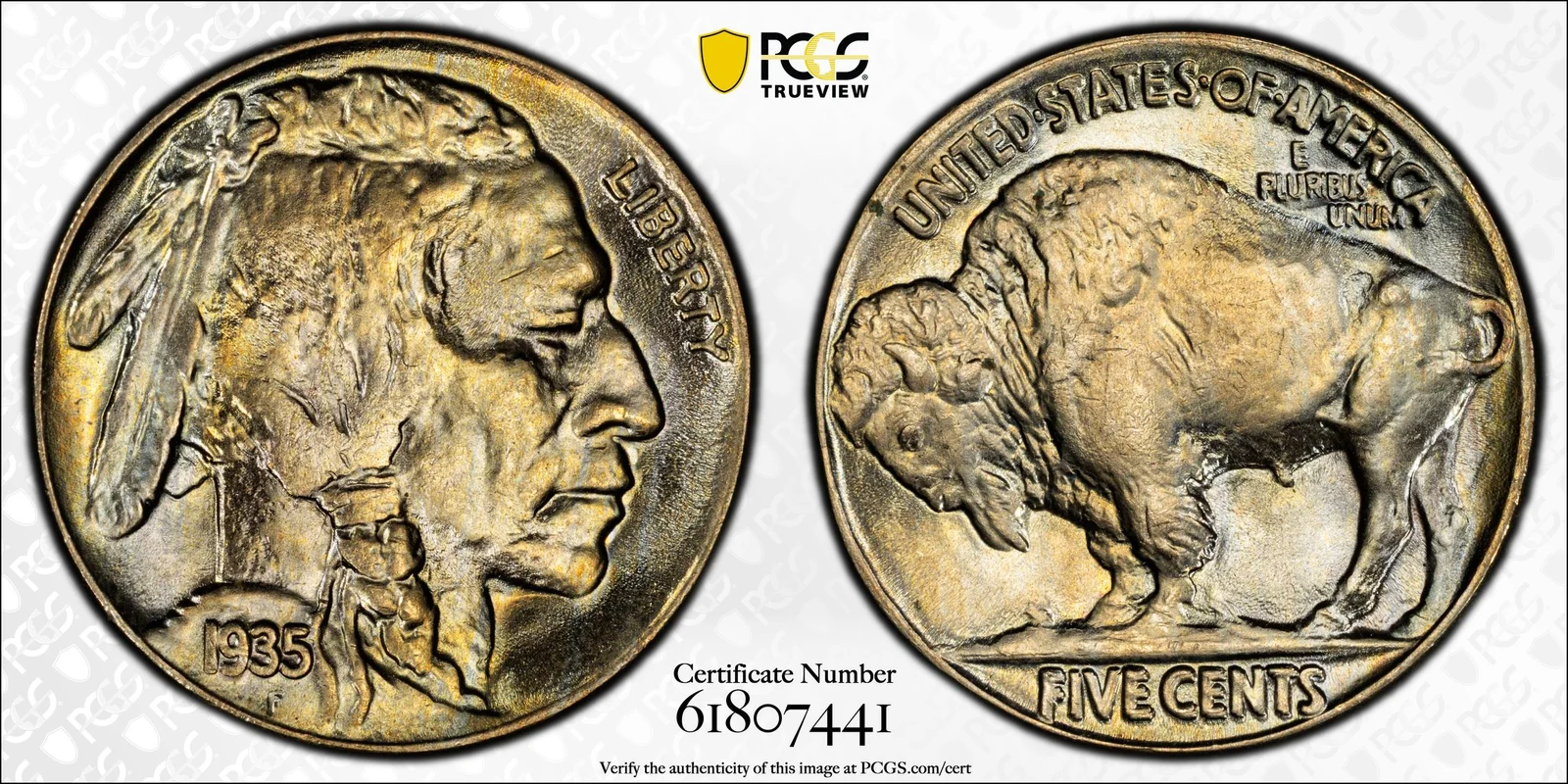 1935 Buffalo nickel, Doubled Die Reverse, PCGS MS66 specimen, obverse and reverse