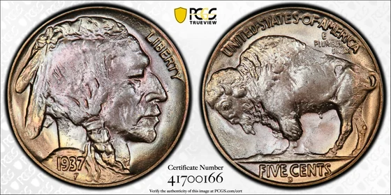 1937-D Buffalo nickel, Three-Legged, PCGS MS66+ specimen, obverse and reverse
